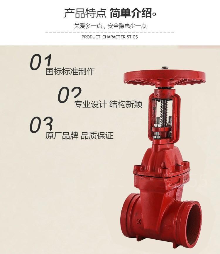 室外閥門井應(yīng)設(shè)置明桿閘閥 立式閥門暗桿明桿